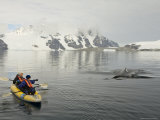 Kayak and Humpback Whale