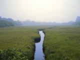 Morning Scene of Wetlands in Chatham, Cape Cod