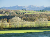 Buy January Long View of Green Fields, Houses and Hills in Provence, France at AllPosters.com