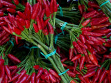 Buy Red Chile Peppers in Bunches at the Rialto Market in Venice, Italy at AllPosters.com