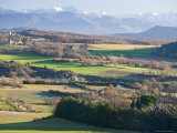 Buy January View of Green Fields, Oaks, Houses and Hills in Provence, France at AllPosters.com