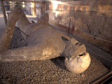 Man's Body Cast Inside Macellum in Pompeii, Italy
