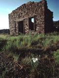 Buy Ruins of a Stone Building in a New Mexican Ghost Town, New Mexico at AllPosters.com