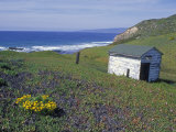 Old Powerhouse Cabin and Coastline near Point Conception, California
