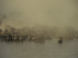 Parched Cape Buffalo Herd Drinks at a Waterhole During a Dust Storm