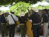 Mariachi Band in a Plaza with Green Umbrellas, Guanajuato, Mexico