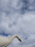 Buy Model Dinosaurs at AllPosters.com