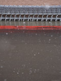 Buy Row of Shopping Carts at AllPosters.com