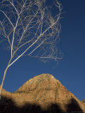 Buy Rock Formation, Zion National Park, Utah at AllPosters.com