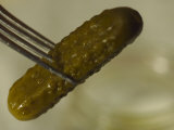 Buy Pickle on a Fork, Fresh from the Jar, Bath, Maine at AllPosters.com