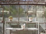 Buy Potted Plants on Outdoor Shelves Outside a Flower Nursery, Parma, Italy at AllPosters.com