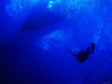One Man Scuba Diving Underwater in Blue Water near Boat and Surface, Belize