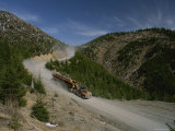 Log Trucks Carry Old Growth Logs Down a Mountain