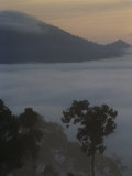 Buy Mist-Shrouded Rainforest, Borneo at AllPosters.com