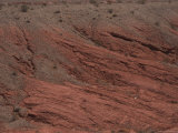 Buy Red Sand Covers the Desert Dunes at AllPosters.com