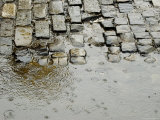 Raindrops on a Puddle on a Cobblestone Road, New York, New York
