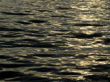 Buy Sun Reflecting on the Surface of the Water at AllPosters.com