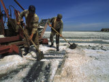 Buy Men Work in the Salt Fields in Crimea at AllPosters.com