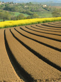 Buy Plowed Bare Field in Provence with Countryside in the Background, France at AllPosters.com