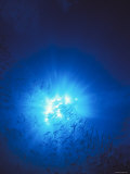 Silhouette with Sun Burst Light Rays in Blue Water, Solomon Islands