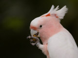 Sedgwick County Zoo, Wichita, Kansas, United States of America