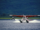 Buy Two Floatplanes Landing on Robe Lake near Valdez, Robe Lake, Alaska at AllPosters.com