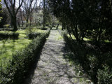 Buy Shadowed Path and Trees in a Garden, Parma, Italy at AllPosters.com