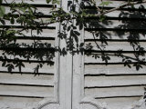 Buy Shuttered Windows on the Side of a House, Italy at AllPosters.com