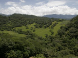 Buy Trees and Mountains in the Mexican Landscape, Mexico at AllPosters.com