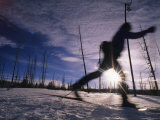 Buy Silhouette of Of Women Cross County Skiing in Wyoming, Yellowstone at AllPosters.com