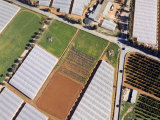 Buy The Land Surrounding Faro is Covered with These Plastic Green Houses at AllPosters.com
