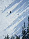 Buy Skier Glides Across a Pine-Shadowed Slope at Deer Valley Resort, Utah at AllPosters.com