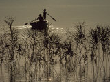 Silhouetted Figures Ply a Small Rowboat on the Calm Surface of the Lake