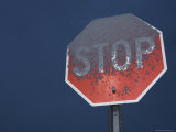 Buy Stop Sign Covered in Snow, Arizona at AllPosters.com