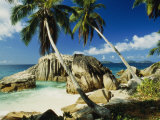Buy Scenic View of the Tropical Island of la Digue in the Seychelles at AllPosters.com