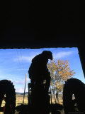 Buy Silhouette of a Man on his Tractor Coming Through Barn Doors at AllPosters.com
