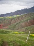Buy Wheat, Rapeseed, and Red Soil Mountains under a Cloudy Sky in China at AllPosters.com