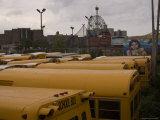 School Bus Parking Lot, Brooklyn, New York
