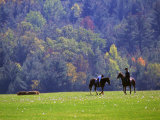 Buy Two Women Play Polo on a Field at AllPosters.com