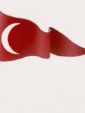 Buy The Turkish Battle Flag at AllPosters.com
