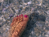 Buy Woman's Foot in the Warm Water of the Gulf of Mexico, Holmes Beach, Florida at AllPosters.com