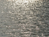 Buy Sun Glitters on the Water's Surface at AllPosters.com