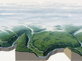 Buy Topological Map of the Big South Fork of Tennessee's Cumberland River at AllPosters.com