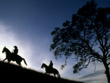 Buy Silhouette of a Man and Woman Riding their Horses Up a Grassy Hill at AllPosters.com