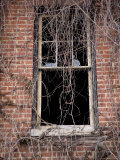 Time Hangs Heavy on the Window of an Abandoned Building