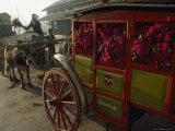 Small Wagon Loaded with Asters for the Local Market