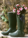 Still Life with Rubber Boots and New Guinea Hybrids