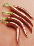 Buy Five Red Chili Peppers at AllPosters.com