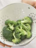 Freshly Washed Broccoli Florets in Sieve