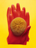 Rubber Glove with Pan Scourer